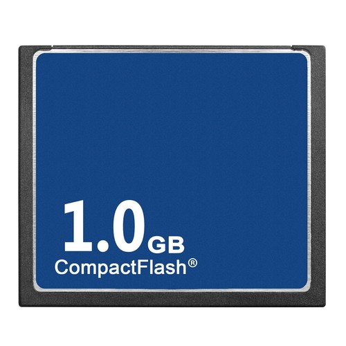 Scheda memoria 1 gb - scheda, cf